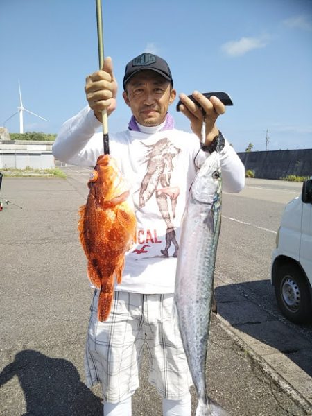 康仁丸・ジギング釣り果